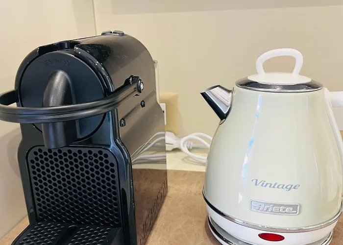 Nery 贾迪尼-纳克索斯